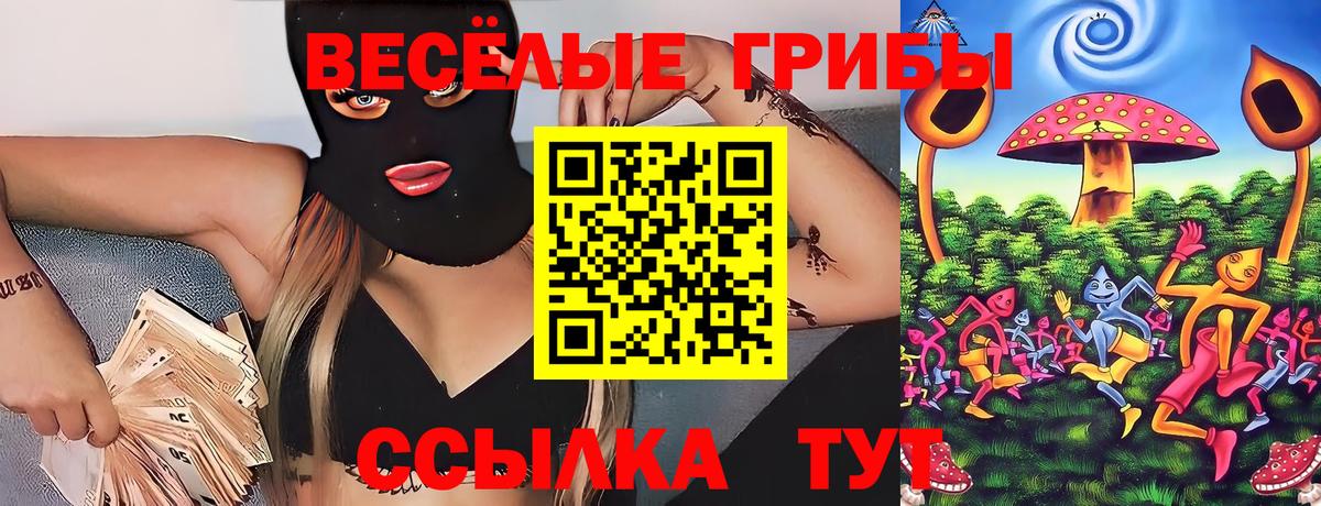Галлюциногенные грибы Cubensis Великие Луки